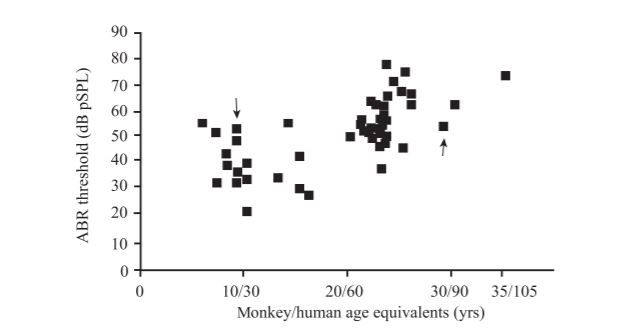 Graph showing ABR threshold vs. monkey/human age equivalents.