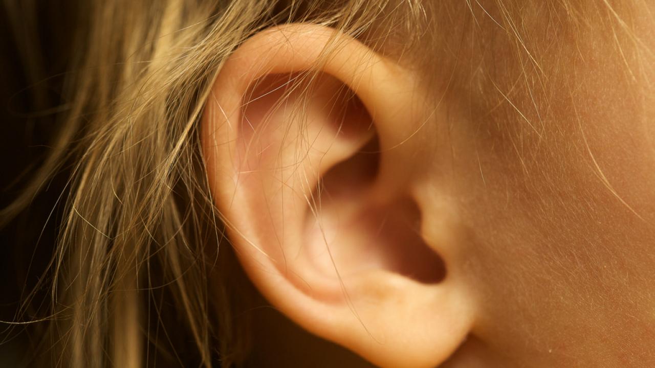 Human ear.