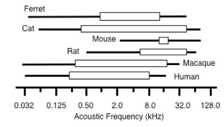 Graph comparing the hearing ranges of various species.